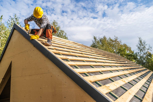 Best Roof Gutter Cleaning  in Belmond, IA